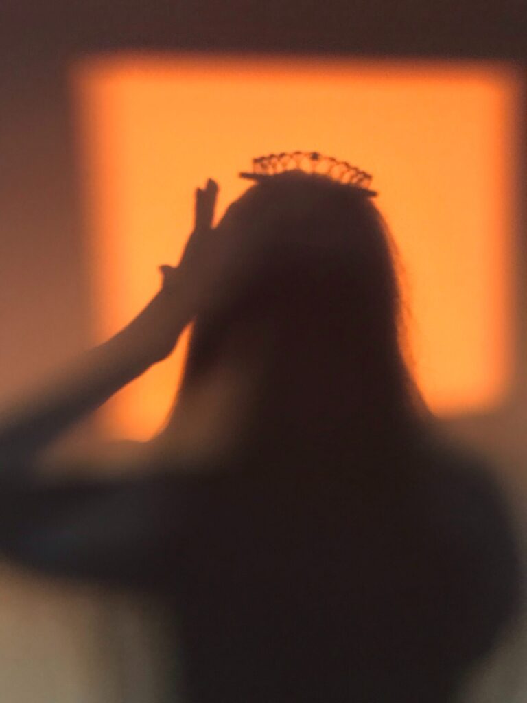 A woman silhoutte wearing a crown - Halloween Party Themes